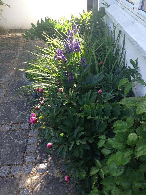 Helts B&B - Helts Guesthouse Хернинг Экстерьер фото